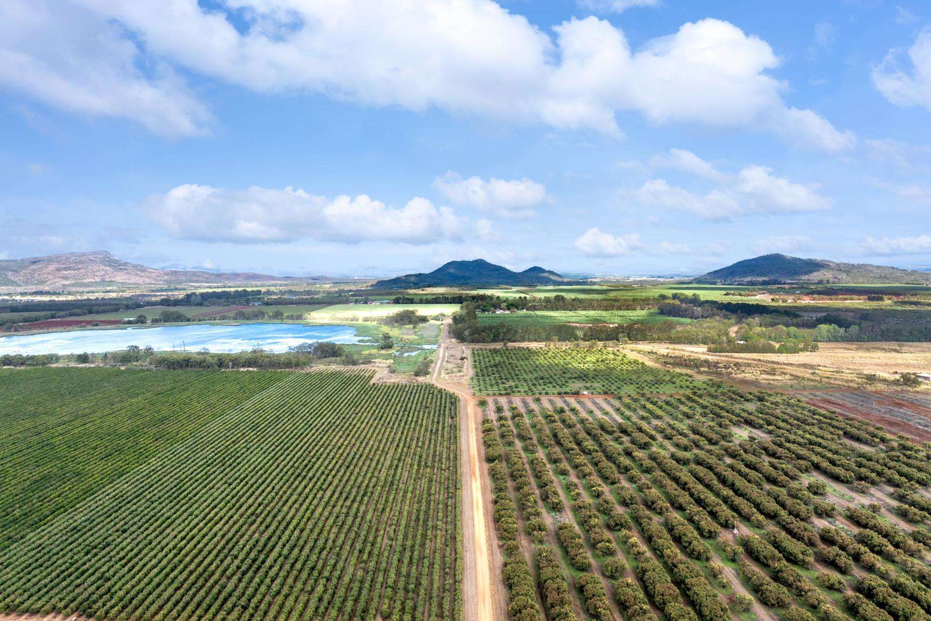 Mareeba For Sale by Farmbuy.com - image 16