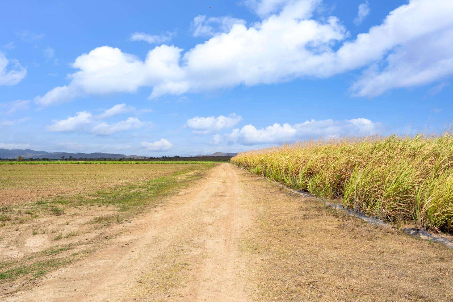 Mareeba For Sale by Farmbuy.com - image 29
