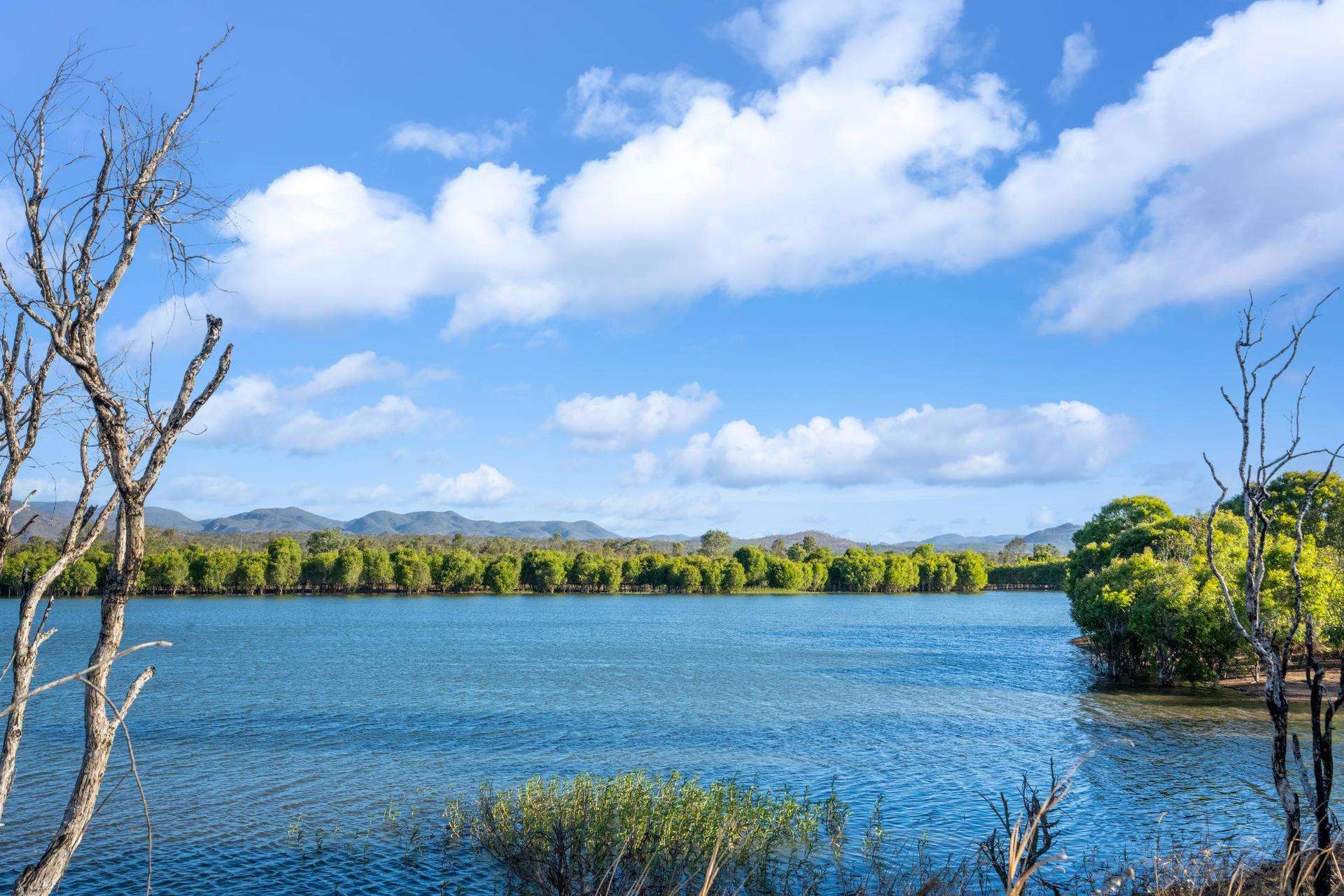 Mareeba For Sale by Farmbuy.com - image 6