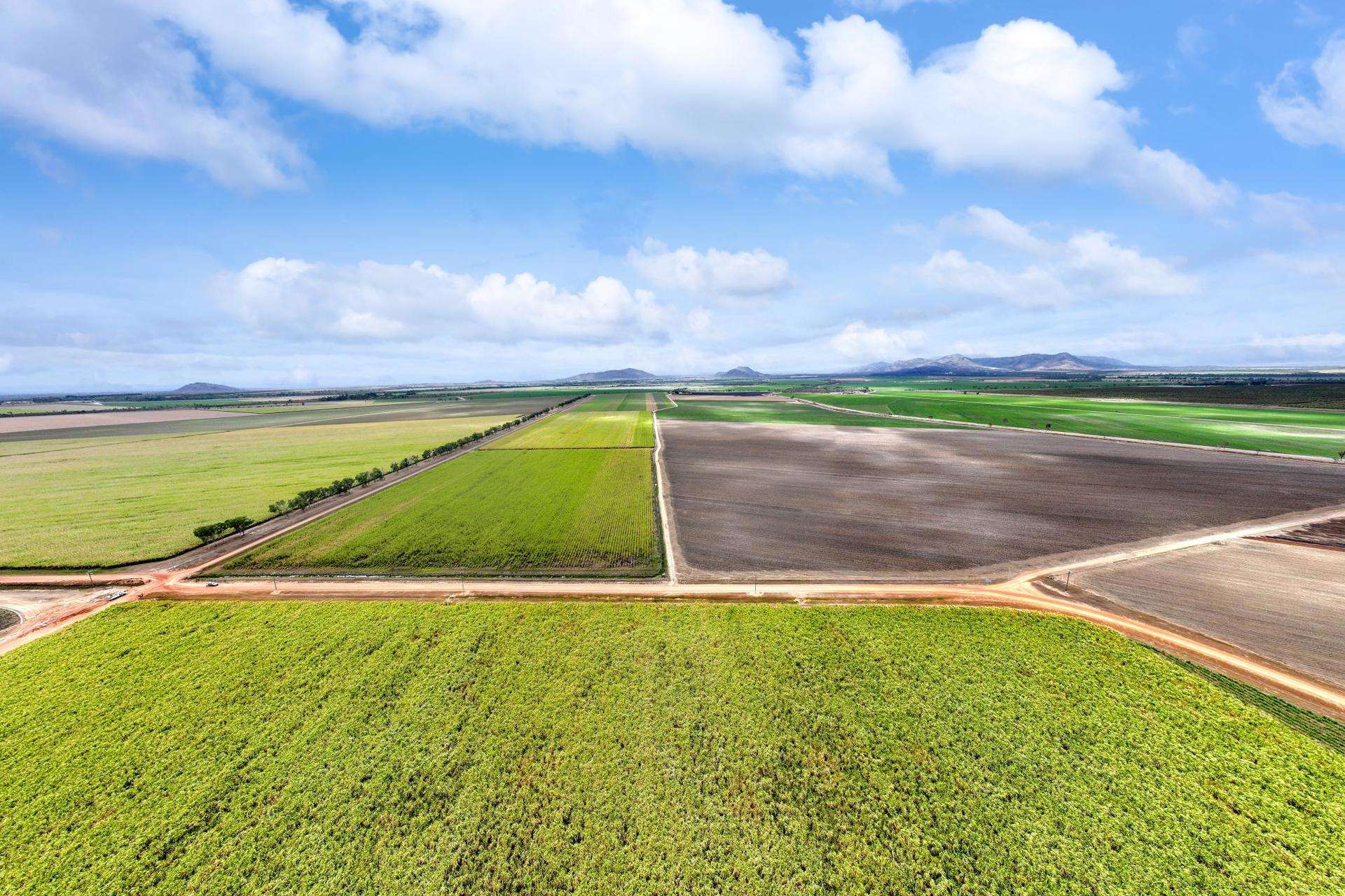 Mareeba For Sale by Farmbuy.com - image 30