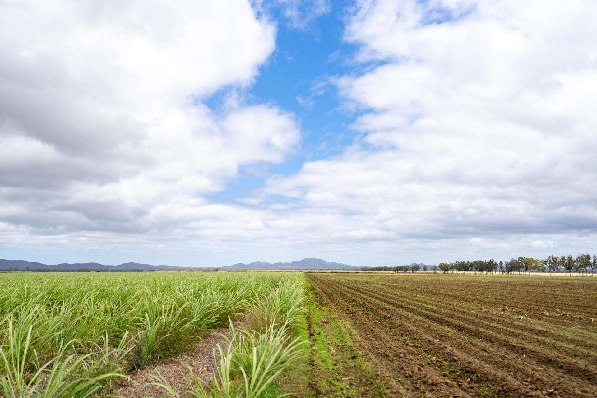 Mareeba For Sale by Farmbuy.com - image 3