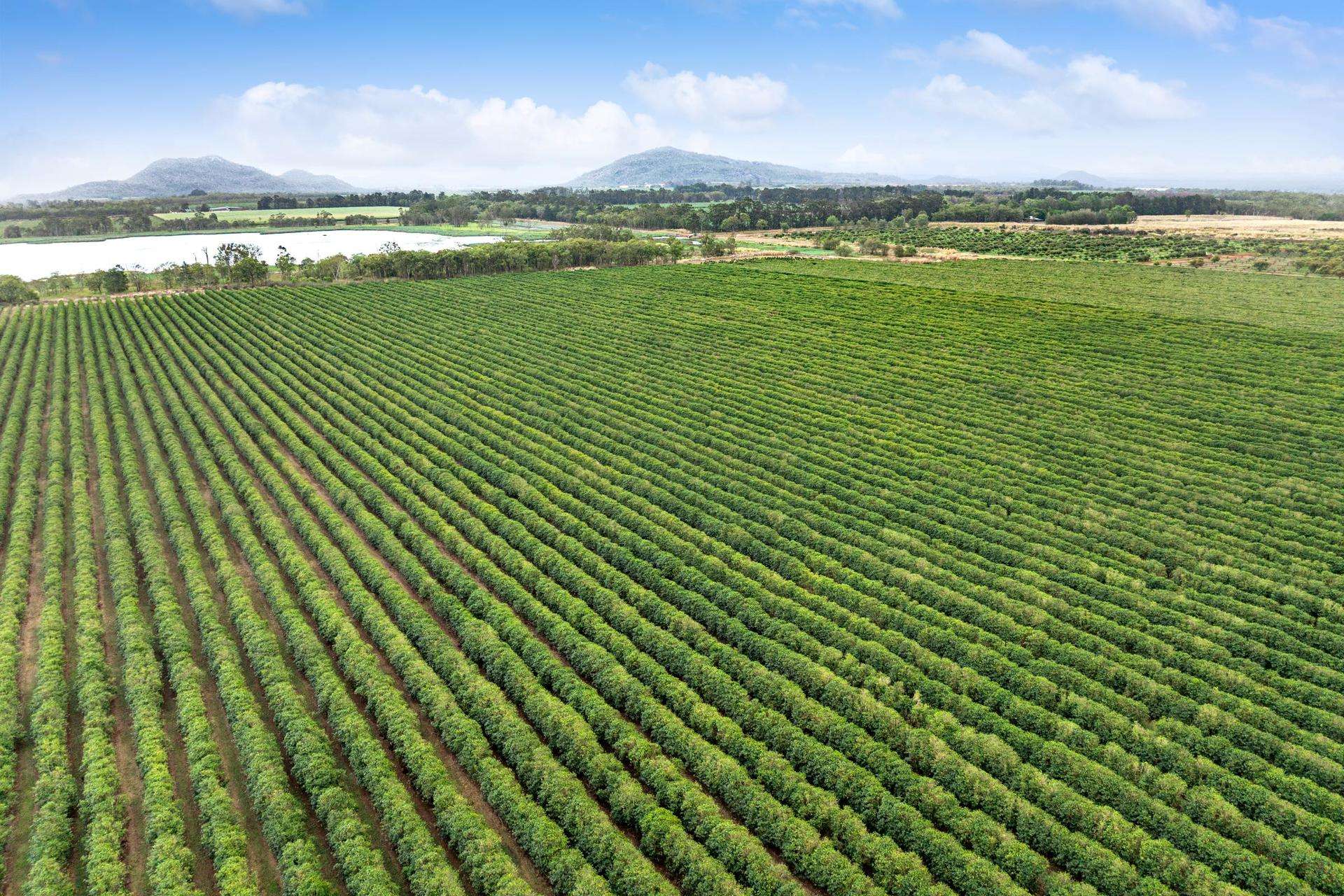 Mareeba For Sale by Farmbuy.com - image 8