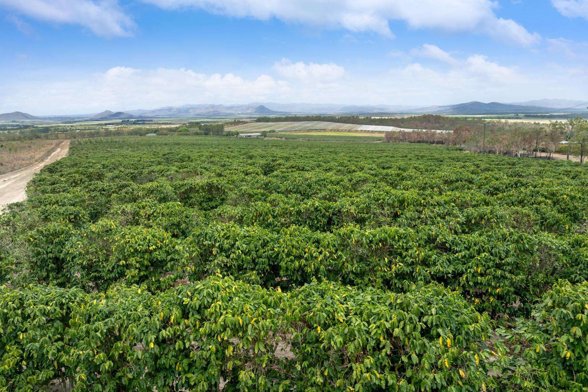 Mareeba For Sale by Farmbuy.com - image 28