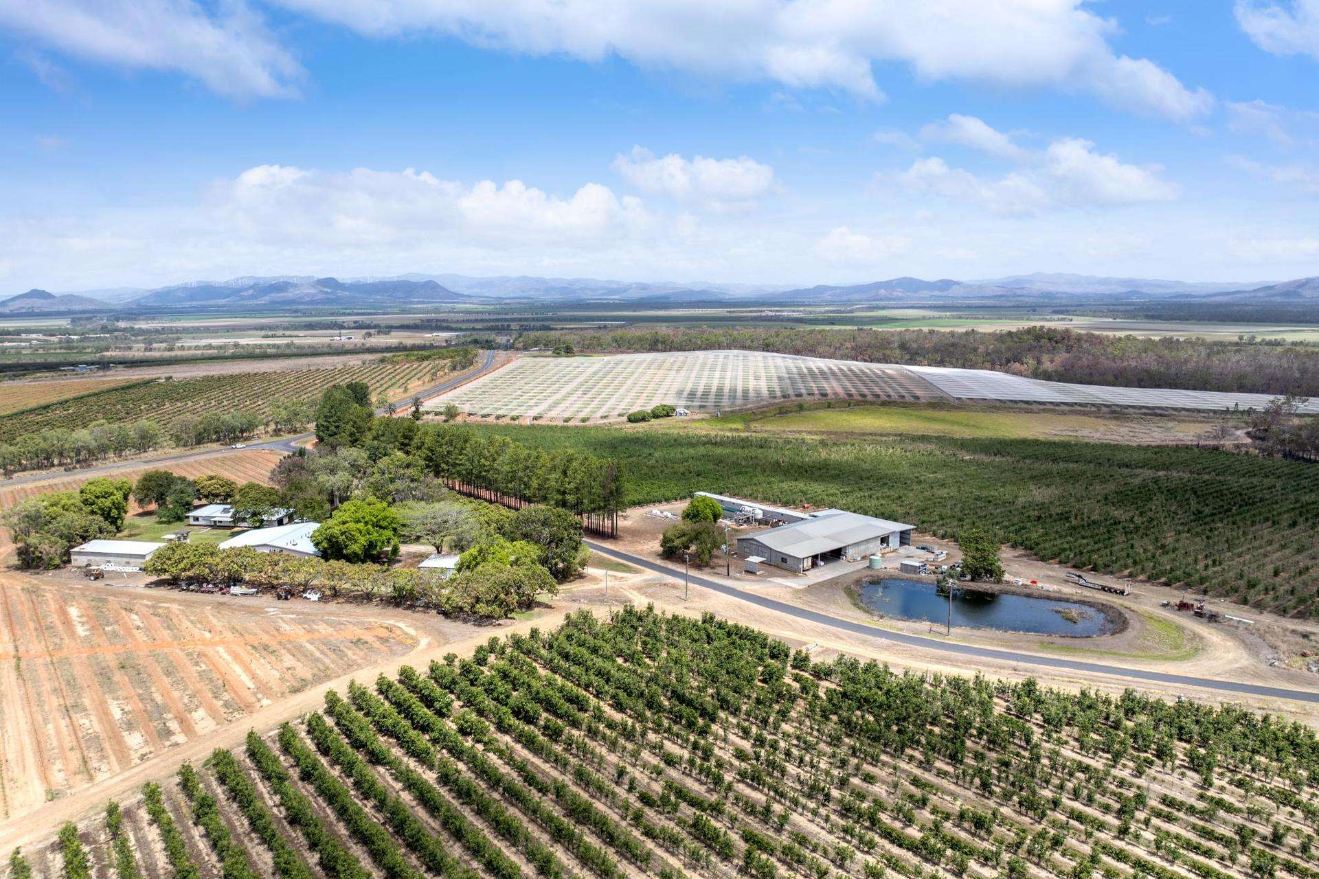 Mareeba For Sale by Farmbuy.com - image 25
