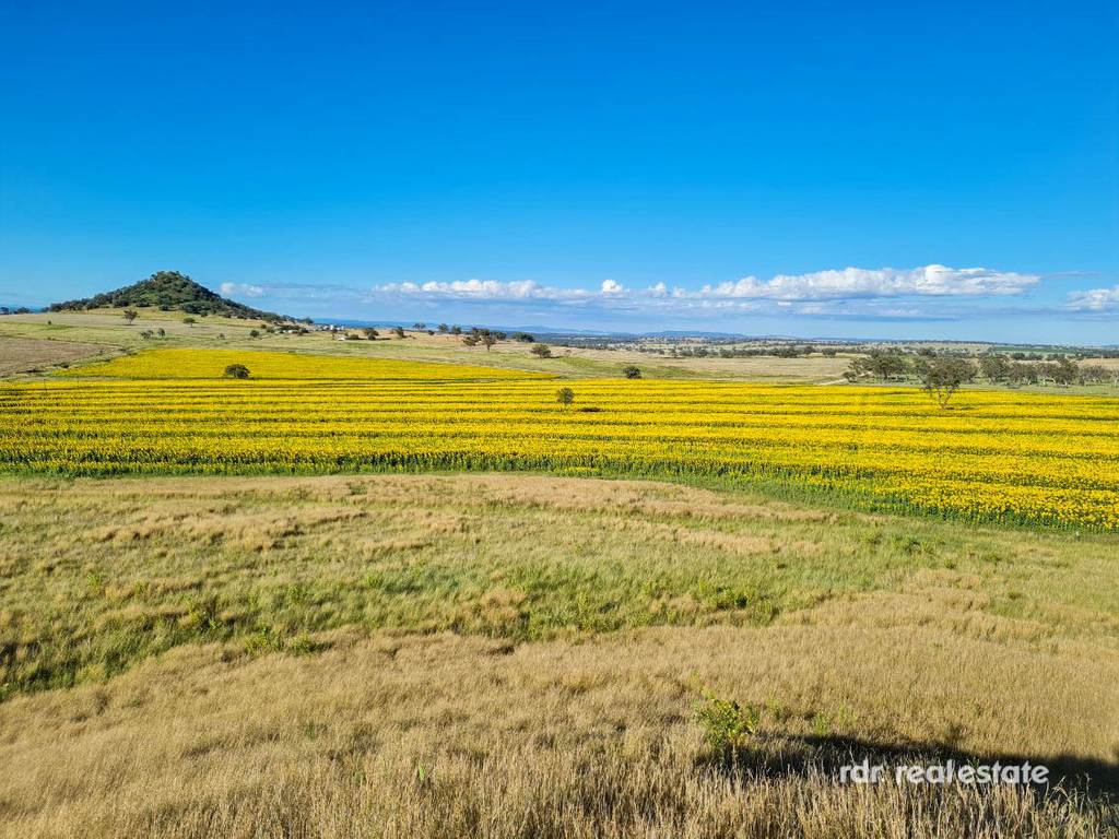 2335 Glenesk Road, Delungra NSW 2403