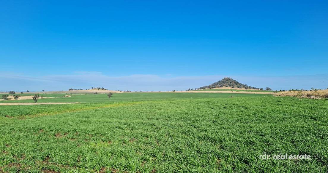 2335 Glenesk Road, Delungra For Sale by Farmbuy.com - image 29