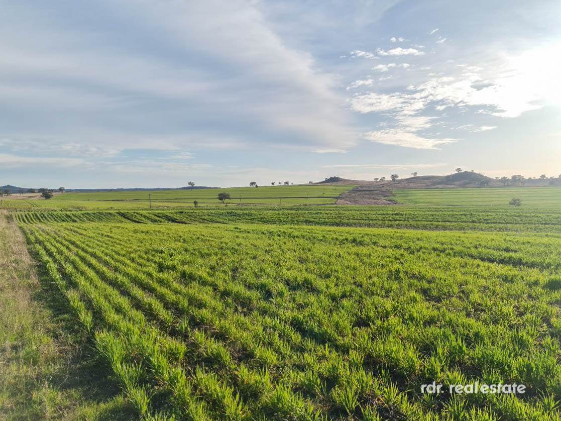 2335 Glenesk Road, Delungra For Sale by Farmbuy.com - image 27