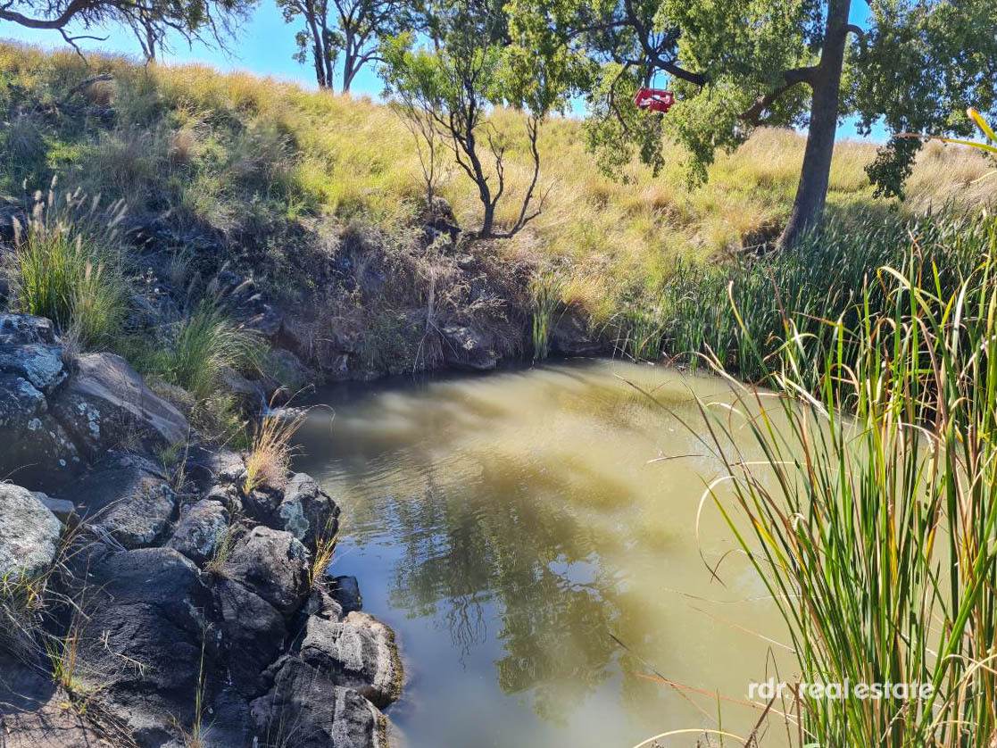 2335 Glenesk Road, Delungra For Sale by Farmbuy.com - image 5