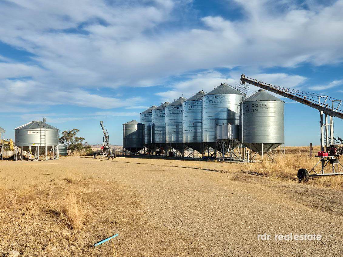 2335 Glenesk Road, Delungra For Sale by Farmbuy.com - image 25