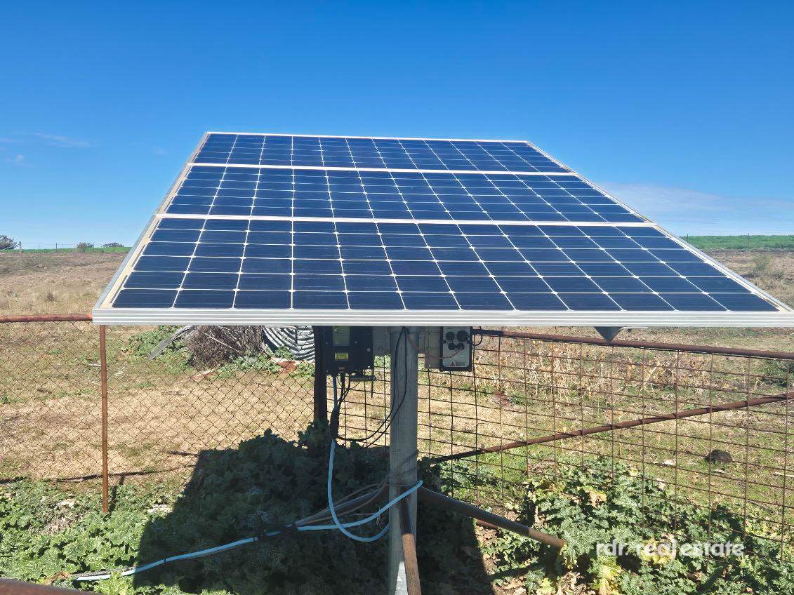 2335 Glenesk Road, Delungra For Sale by Farmbuy.com - image 19