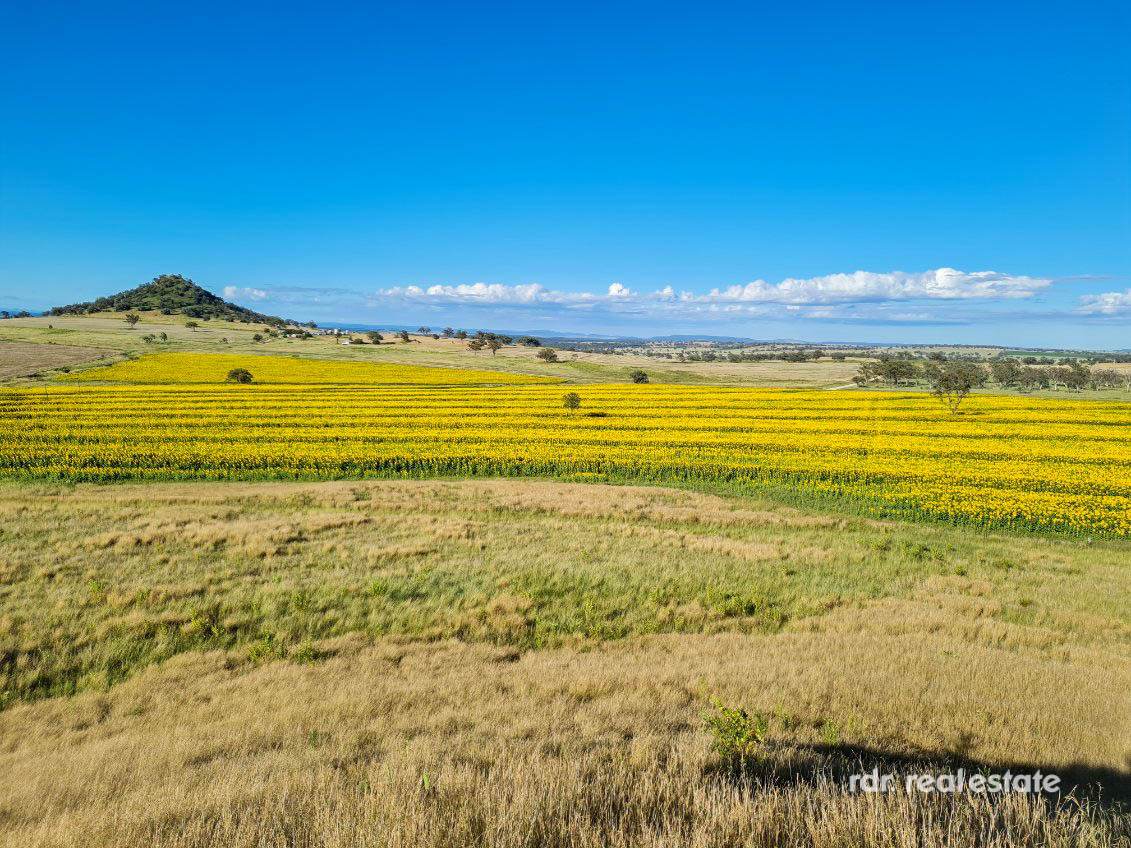 2335 Glenesk Road, Delungra For Sale by Farmbuy.com - image 1