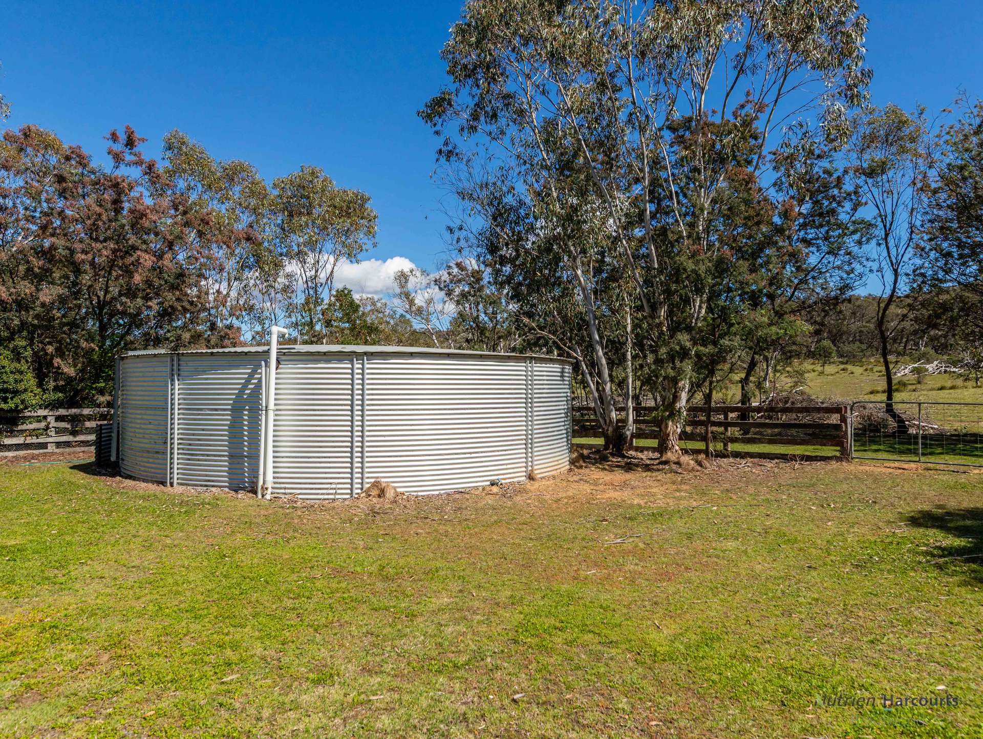 1008 Wallaces Gap Road, Bendoura For Sale by Farmbuy.com - image 30