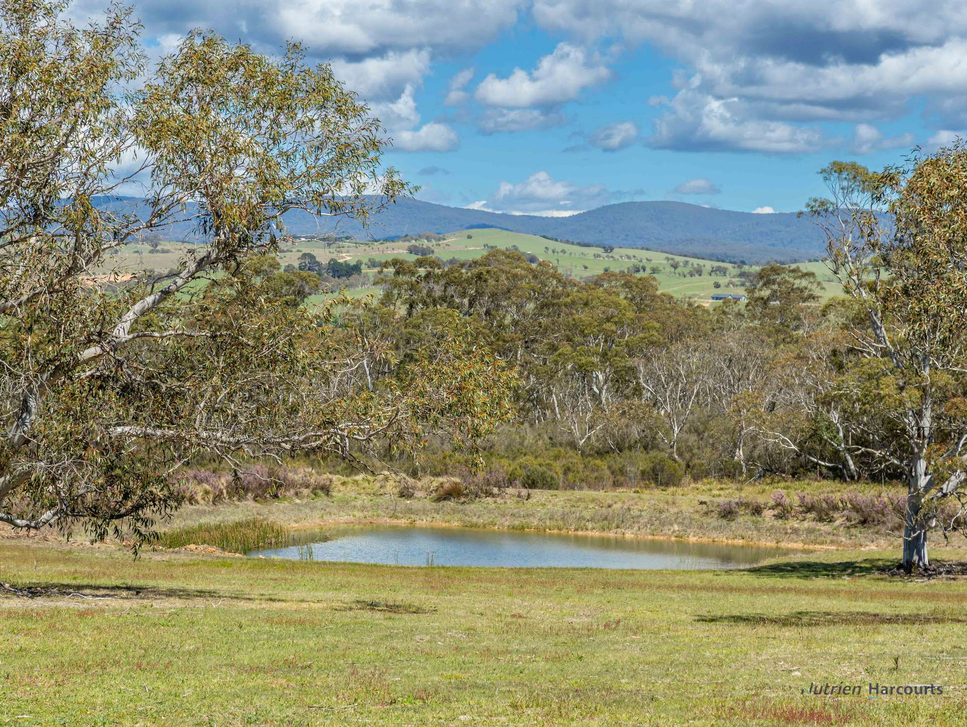 1008 Wallaces Gap Road, Bendoura For Sale by Farmbuy.com - image 2