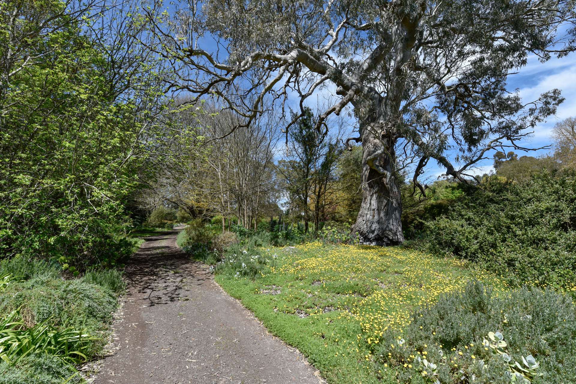 154/170 Rocky Castle Road, Coonawarra For Sale by Farmbuy.com - image 33