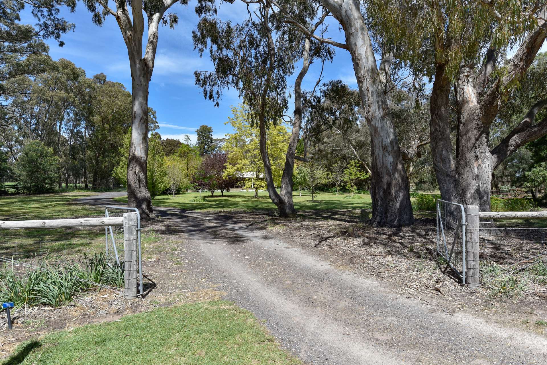 154/170 Rocky Castle Road, Coonawarra For Sale by Farmbuy.com - image 34