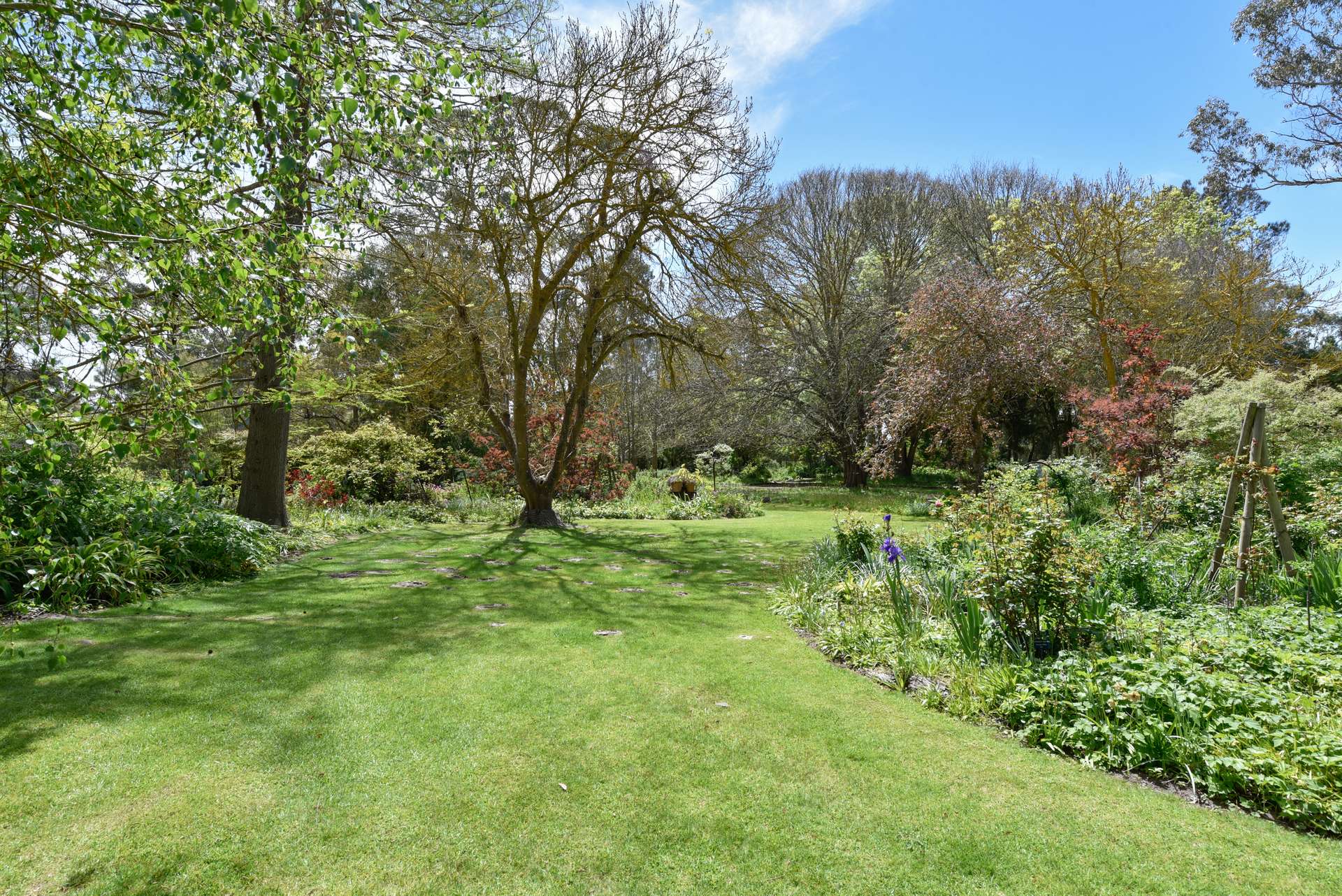 154/170 Rocky Castle Road, Coonawarra For Sale by Farmbuy.com - image 32