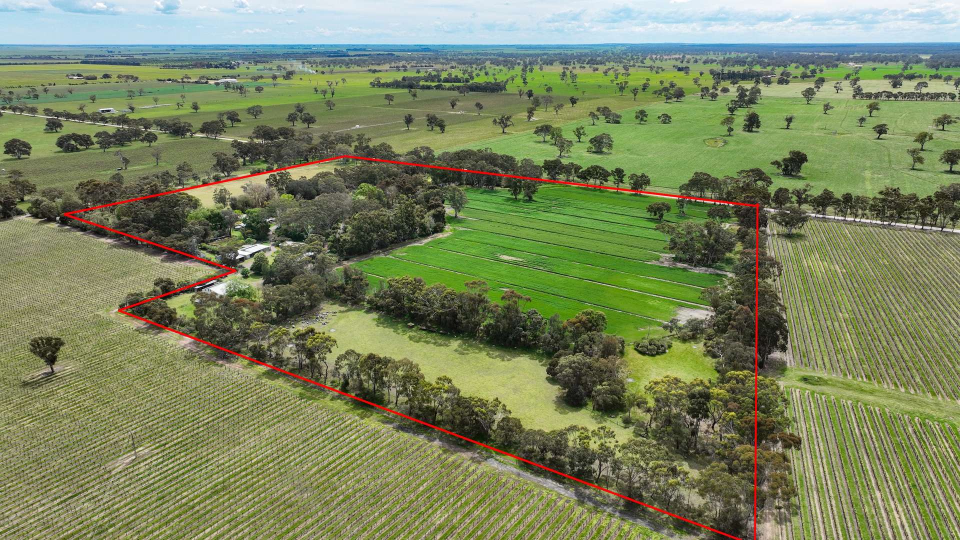 154/170 Rocky Castle Road, Coonawarra For Sale by Farmbuy.com - image 4