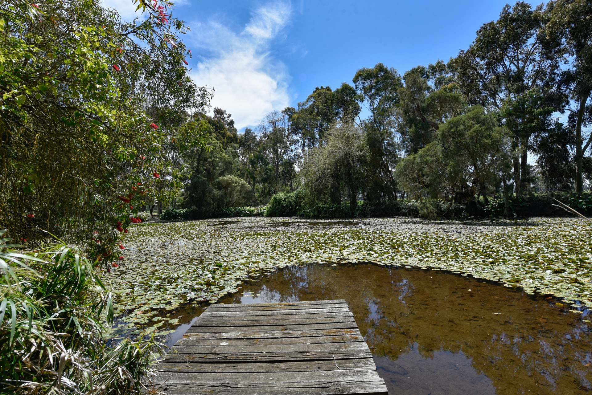 154/170 Rocky Castle Road, Coonawarra For Sale by Farmbuy.com - image 29