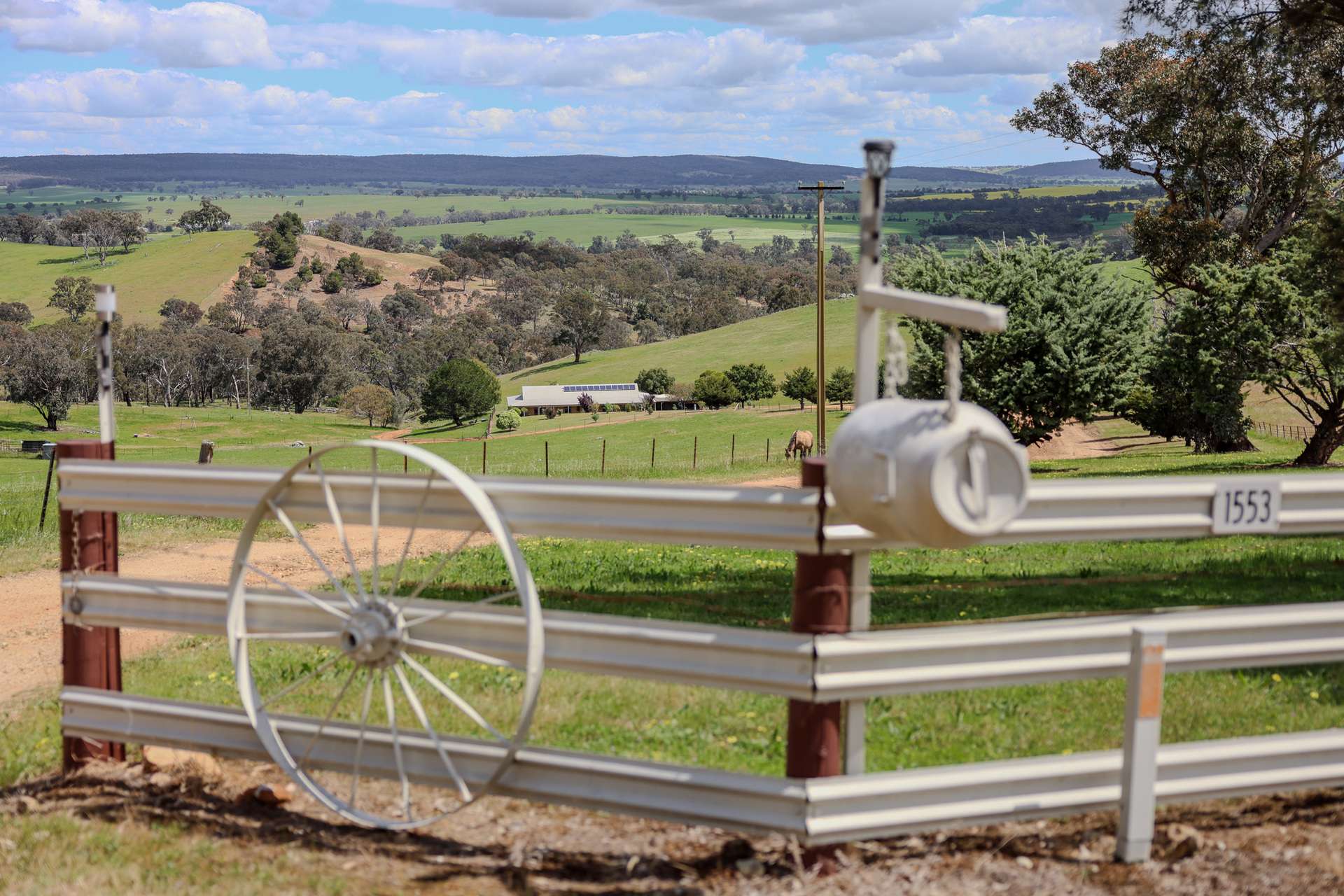 1553 Geegullalong Rd Via, Young For Sale by Farmbuy.com - image 1