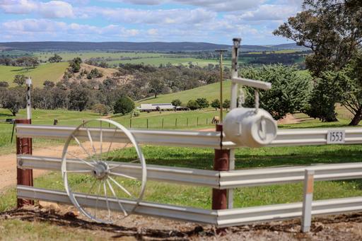1553 Geegullalong Rd Via, Young NSW 2594