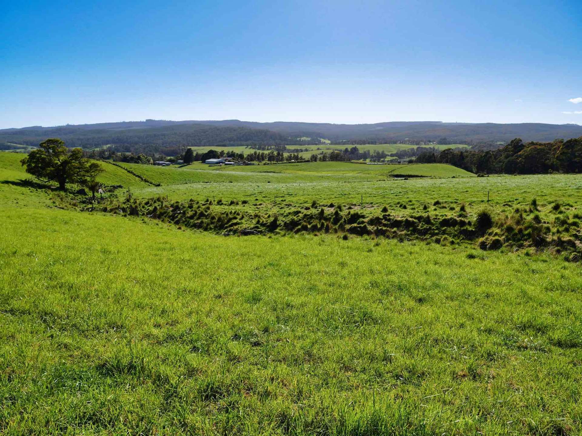 2241 Pipers River Road, Pipers River For Sale by Farmbuy.com - image 14