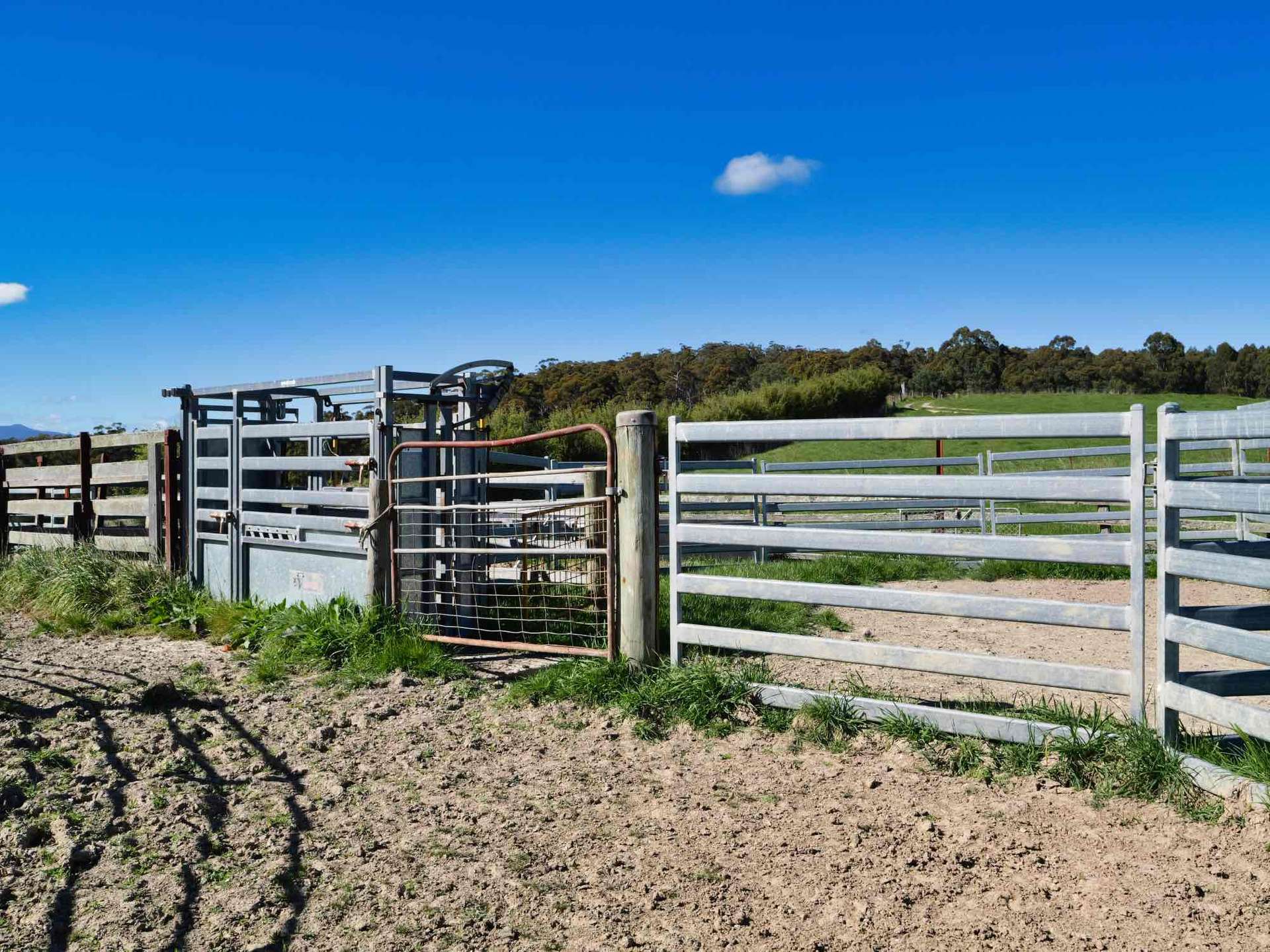 2241 Pipers River Road, Pipers River For Sale by Farmbuy.com - image 5
