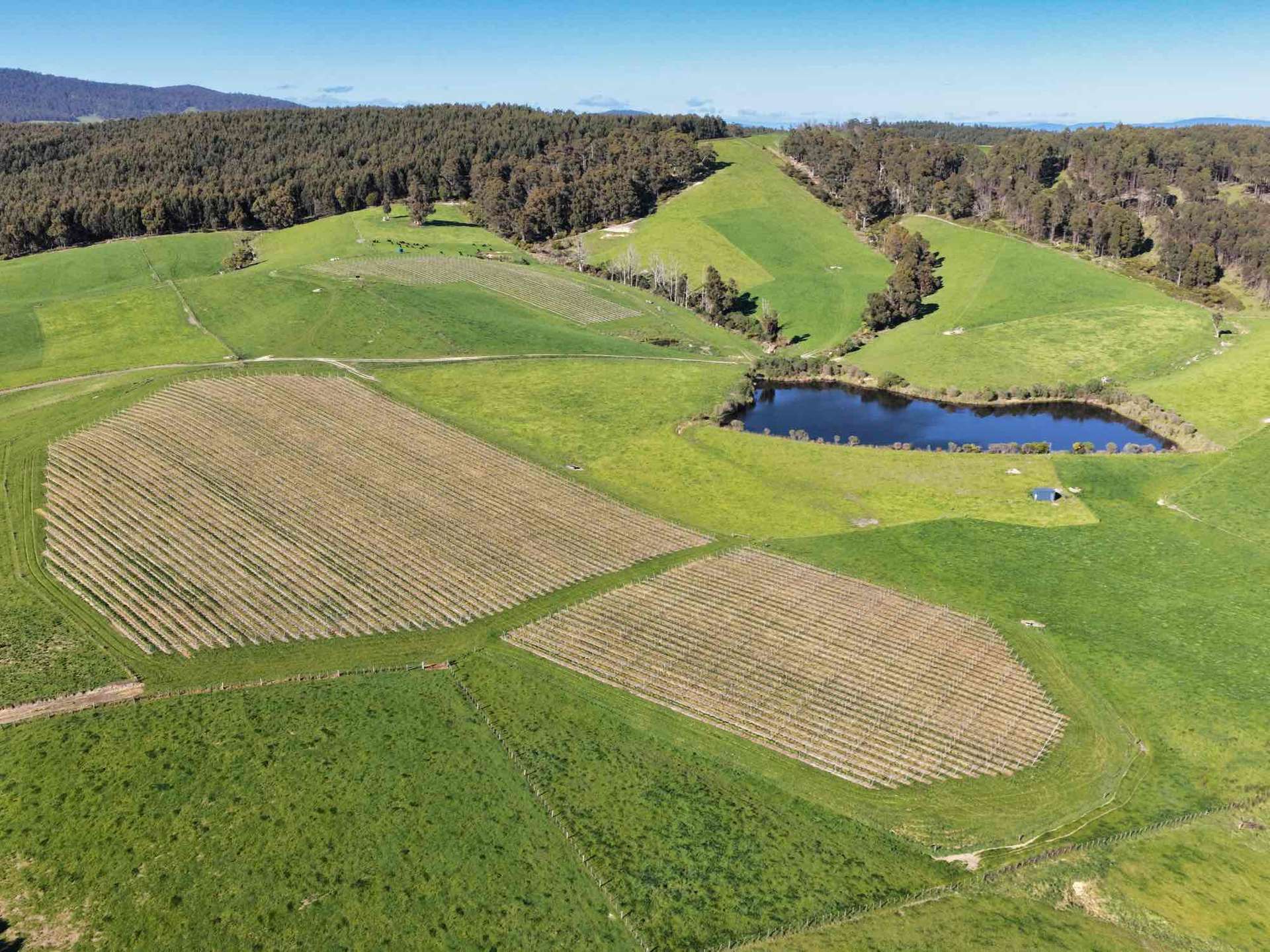 2241 Pipers River Road, Pipers River For Sale by Farmbuy.com - image 8