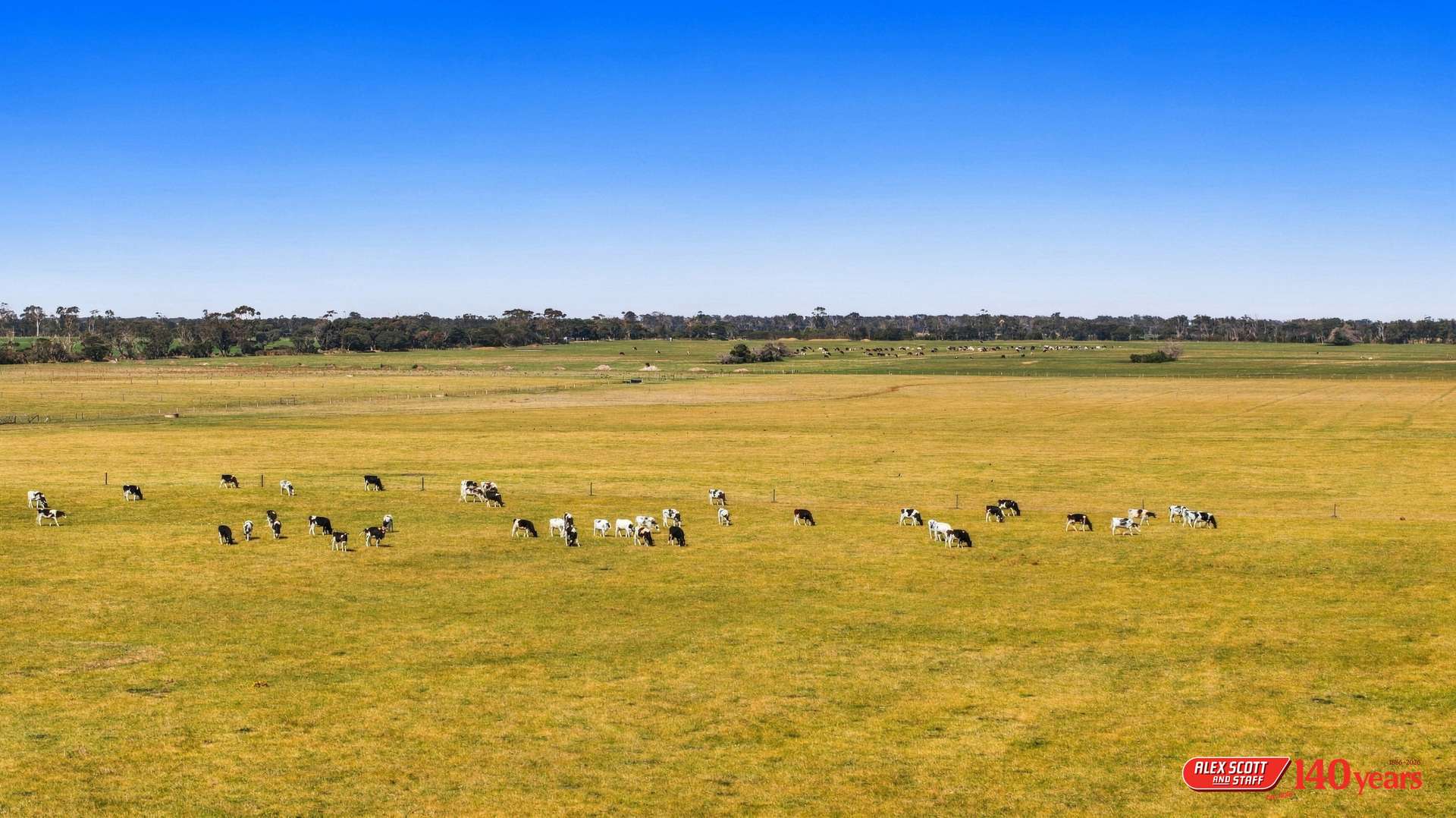 1 Kees Road, Yarram For Sale by Farmbuy.com - image 2