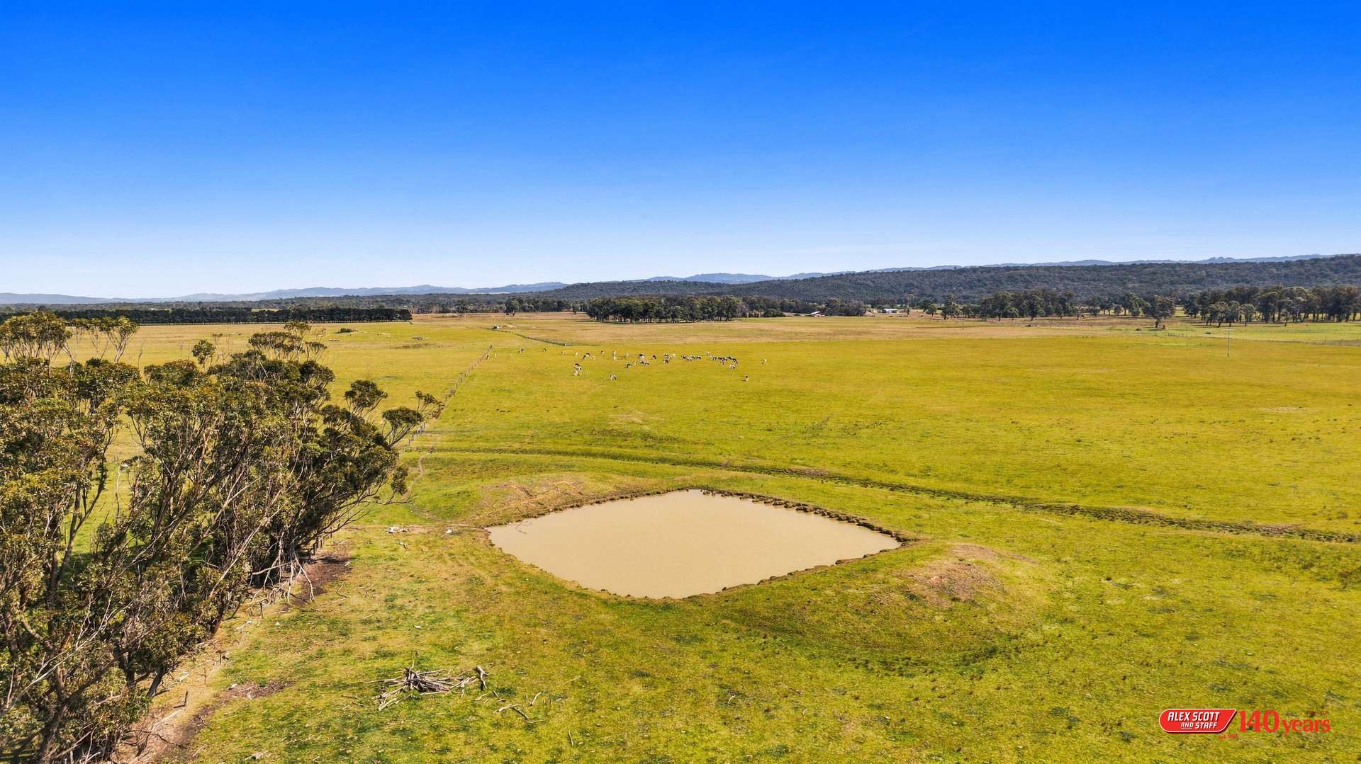 1 Kees Road, Yarram For Sale by Farmbuy.com - image 8