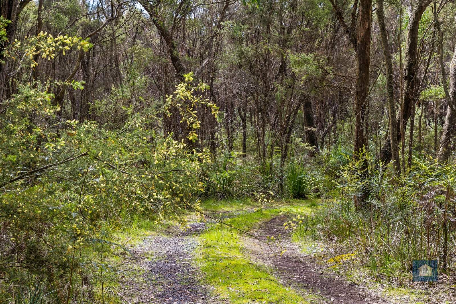 70 Wares Road, Barongarook For Sale by Farmbuy.com - image 12