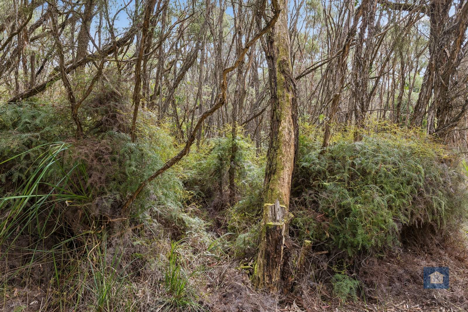 70 Wares Road, Barongarook For Sale by Farmbuy.com - image 8