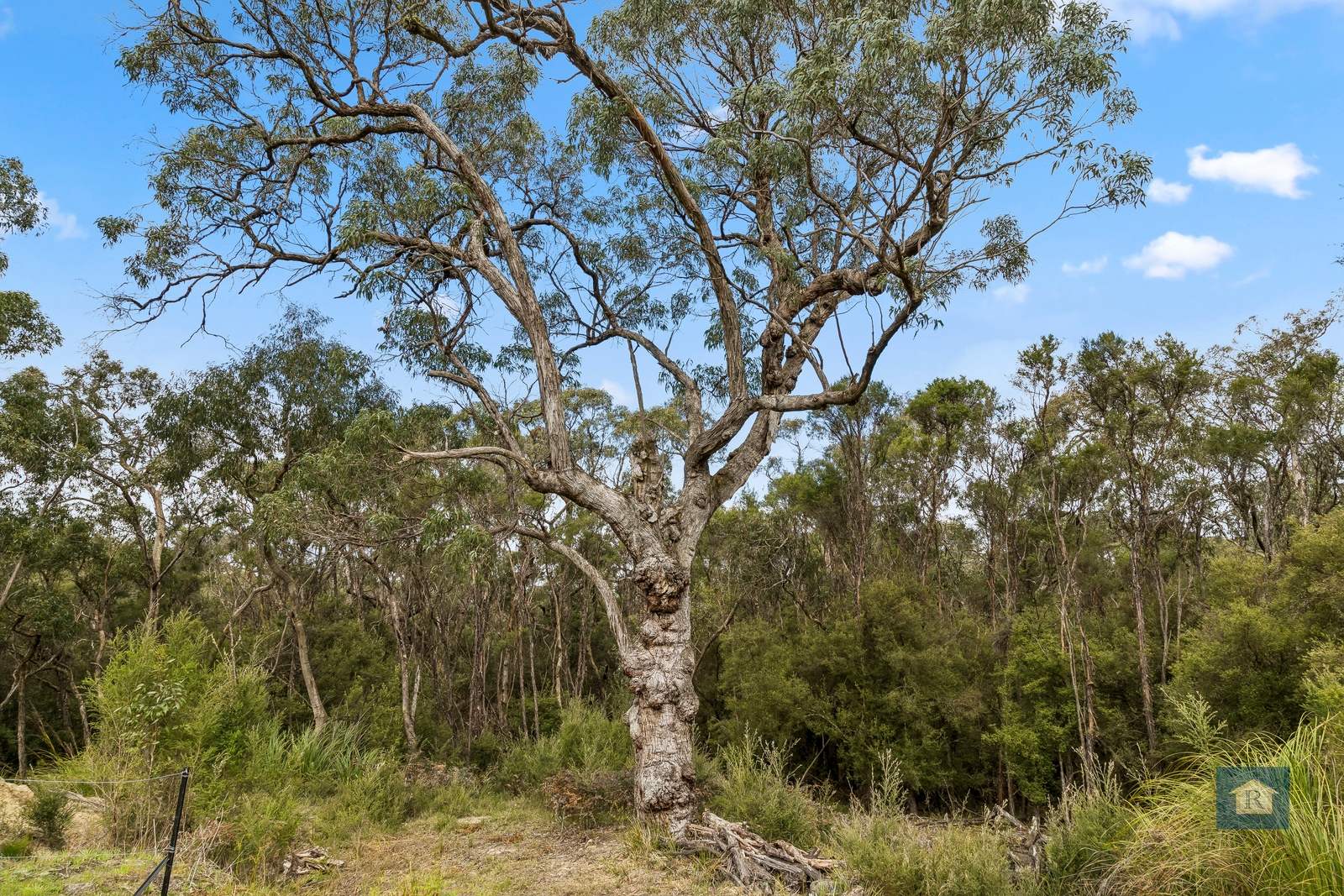 70 Wares Road, Barongarook For Sale by Farmbuy.com - image 10