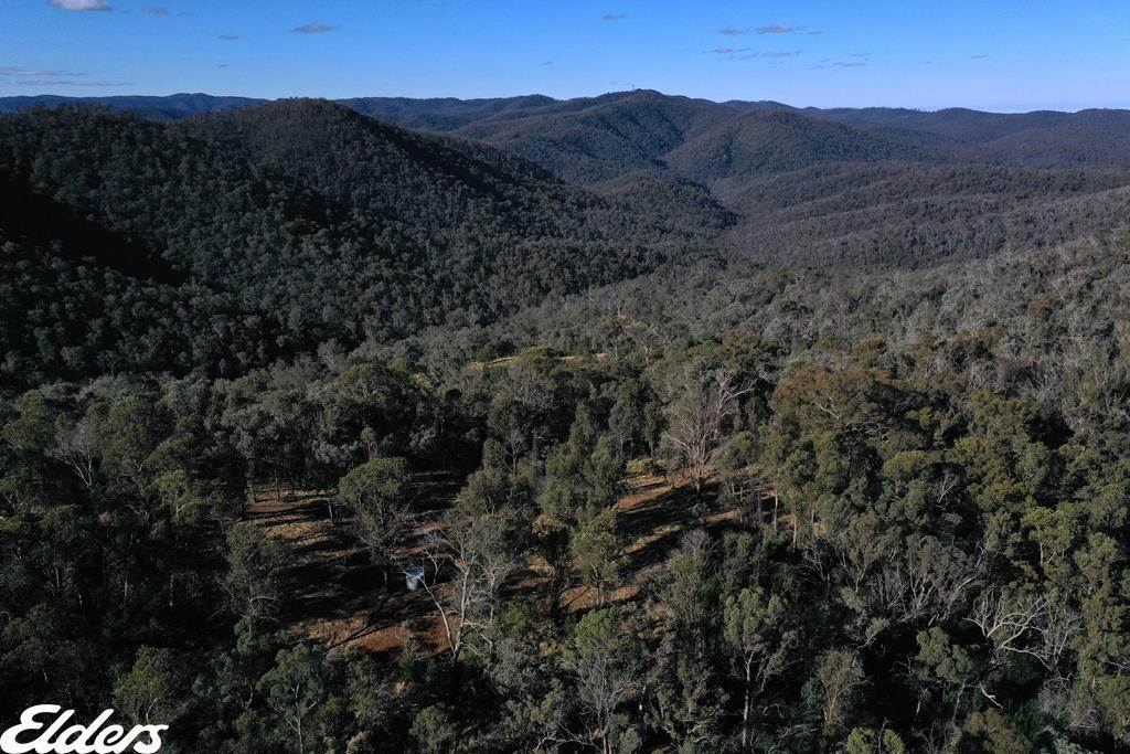 Duffy Road, Briagolong For Sale by Farmbuy.com - image 6