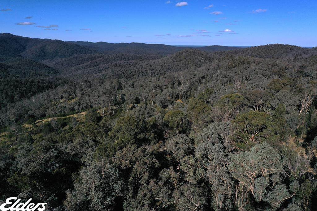 Duffy Road, Briagolong For Sale by Farmbuy.com - image 4