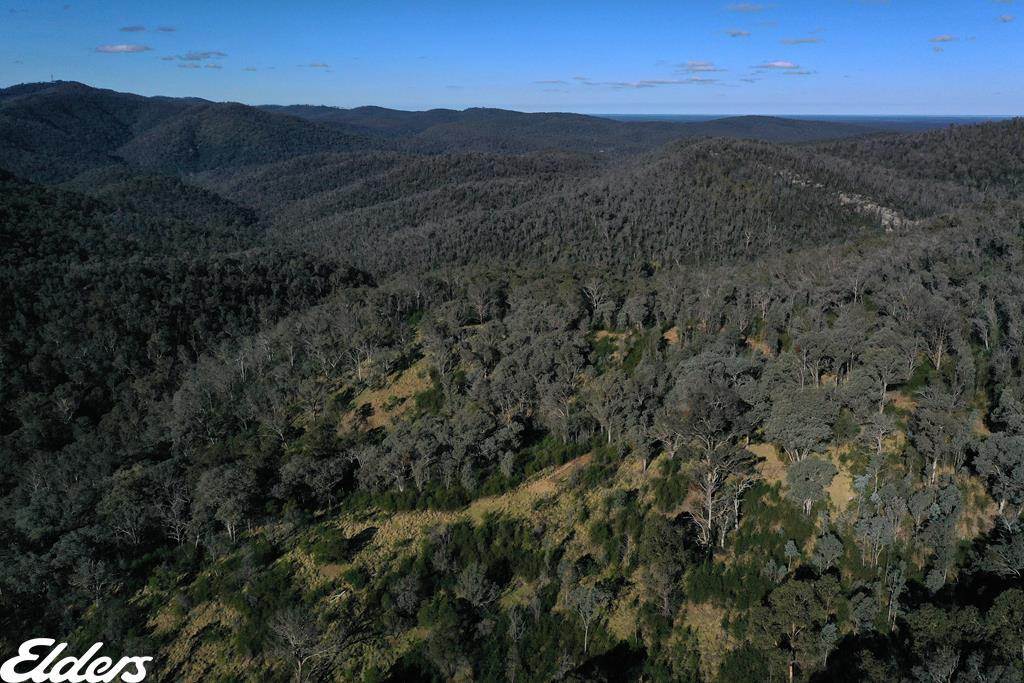 Duffy Road, Briagolong For Sale by Farmbuy.com - image 1
