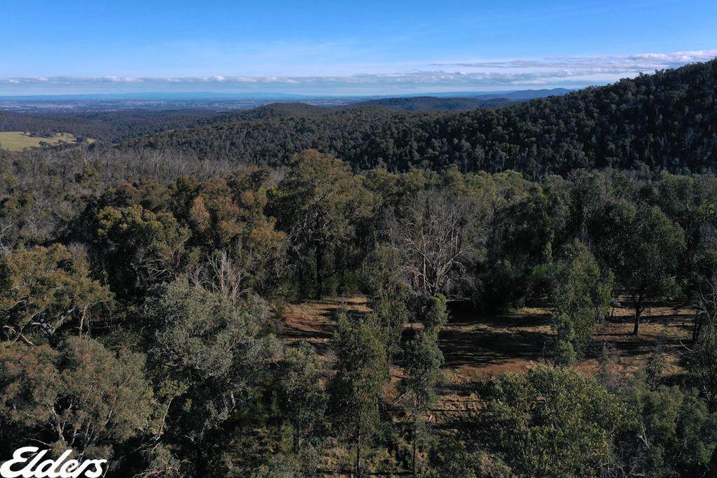 Duffy Road, Briagolong For Sale by Farmbuy.com - image 8