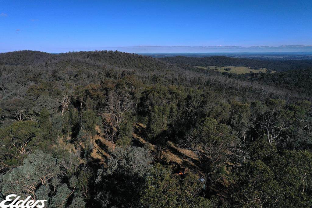 Duffy Road, Briagolong For Sale by Farmbuy.com - image 5