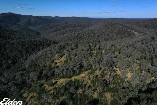 Duffy Road, Briagolong VIC 3860