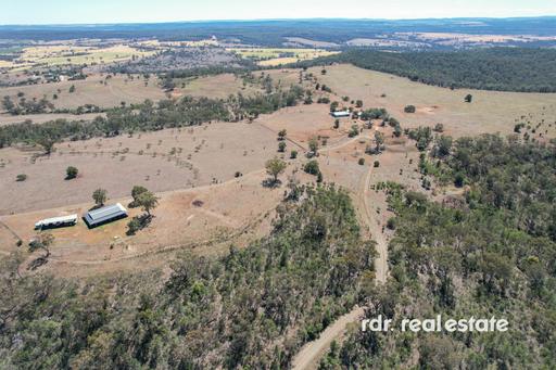 Farm For Sale - NSW - Warialda - 2402 - MOUNT TOOLIMBAH 
