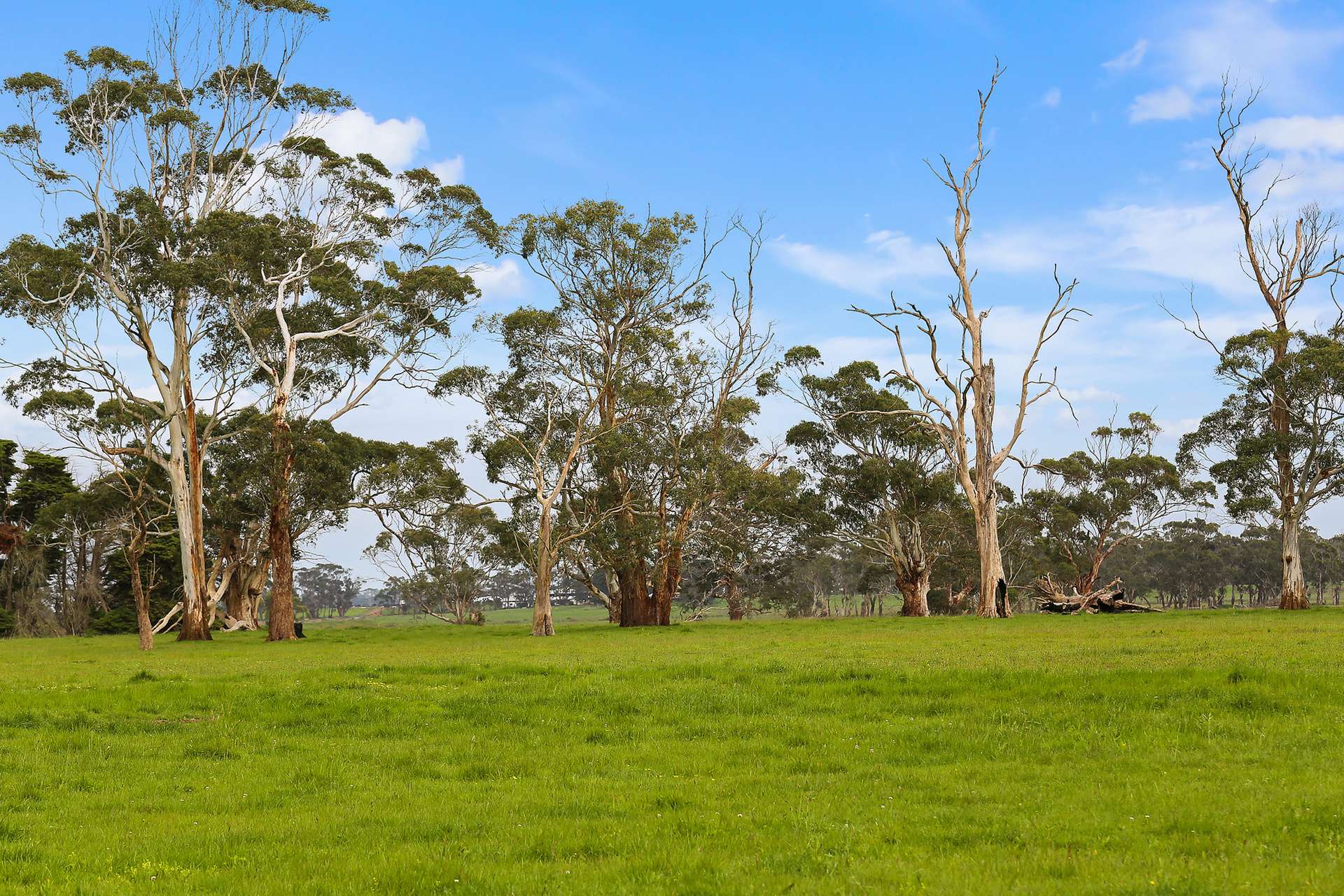 112 Soundrys Road, Elingamite For Sale by Farmbuy.com - image 19