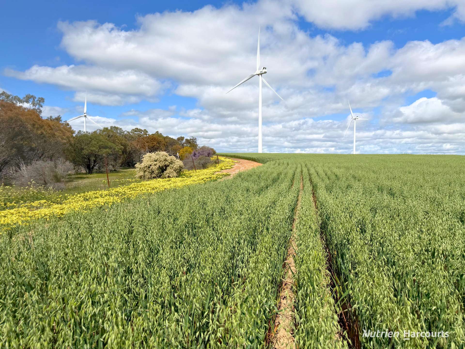 "Windfarm" Lot 20762 Springwell Valley Road, South Burracoppin Auction by Farmbuy.com - image 18
