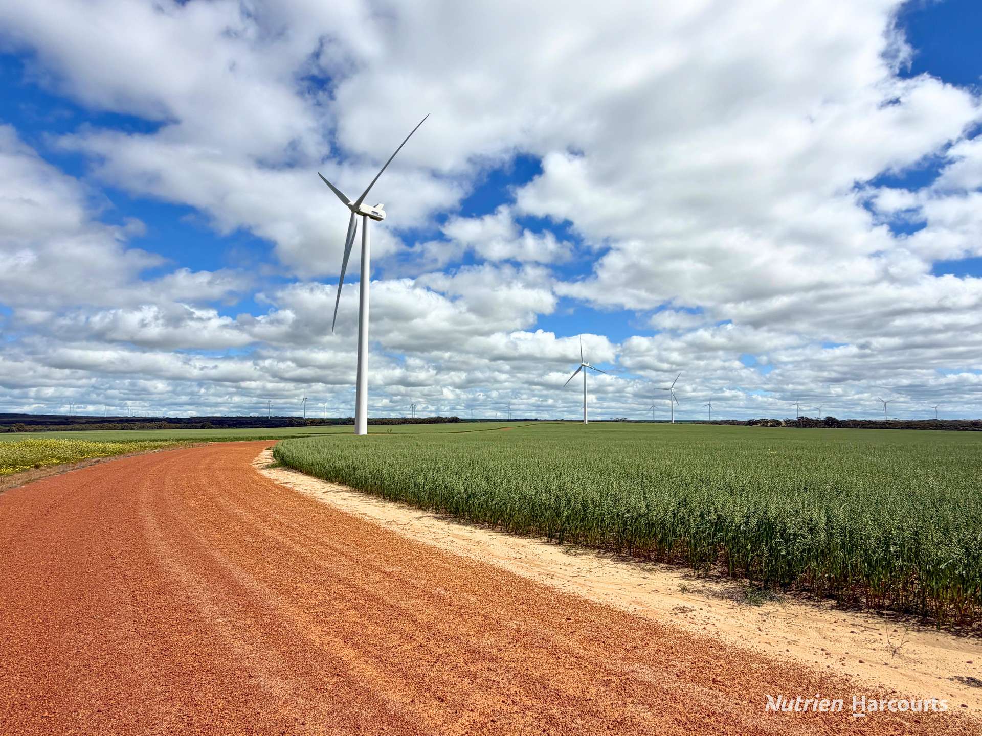 "Windfarm" Lot 20762 Springwell Valley Road, South Burracoppin Auction by Farmbuy.com - image 22