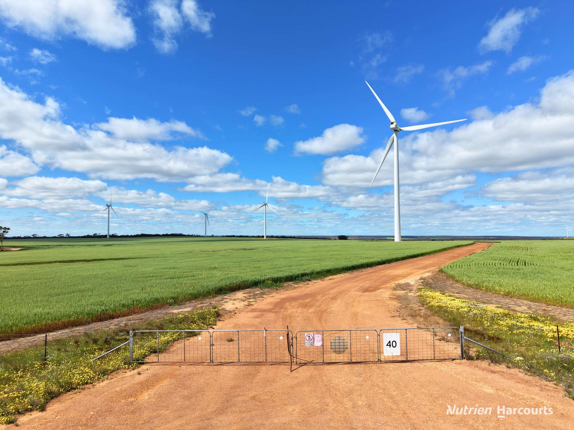 "Windfarm" Lot 20762 Springwell Valley Road, South Burracoppin Auction by Farmbuy.com - image 3