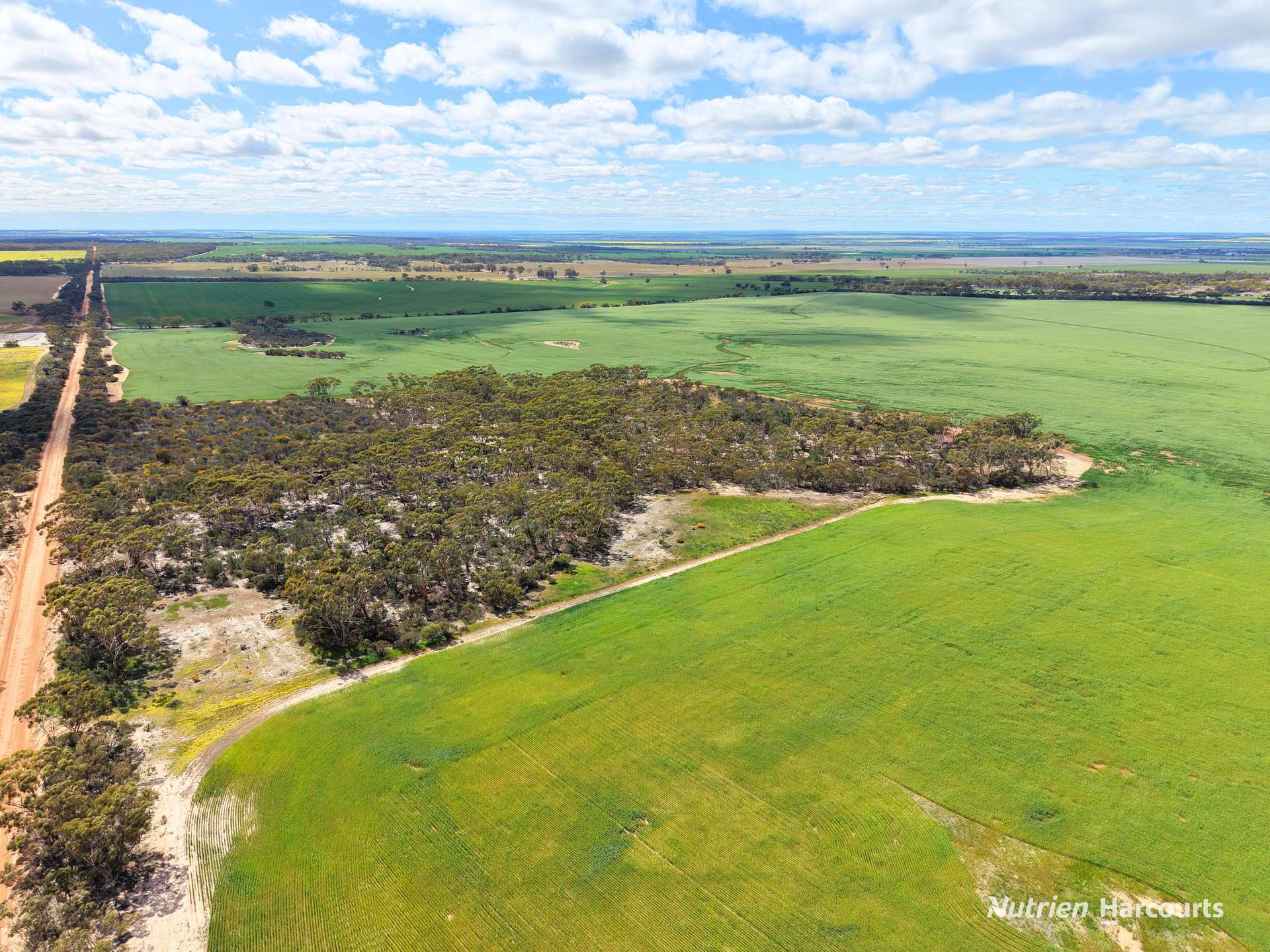 "Windfarm" Lot 20762 Springwell Valley Road, South Burracoppin Auction by Farmbuy.com - image 15