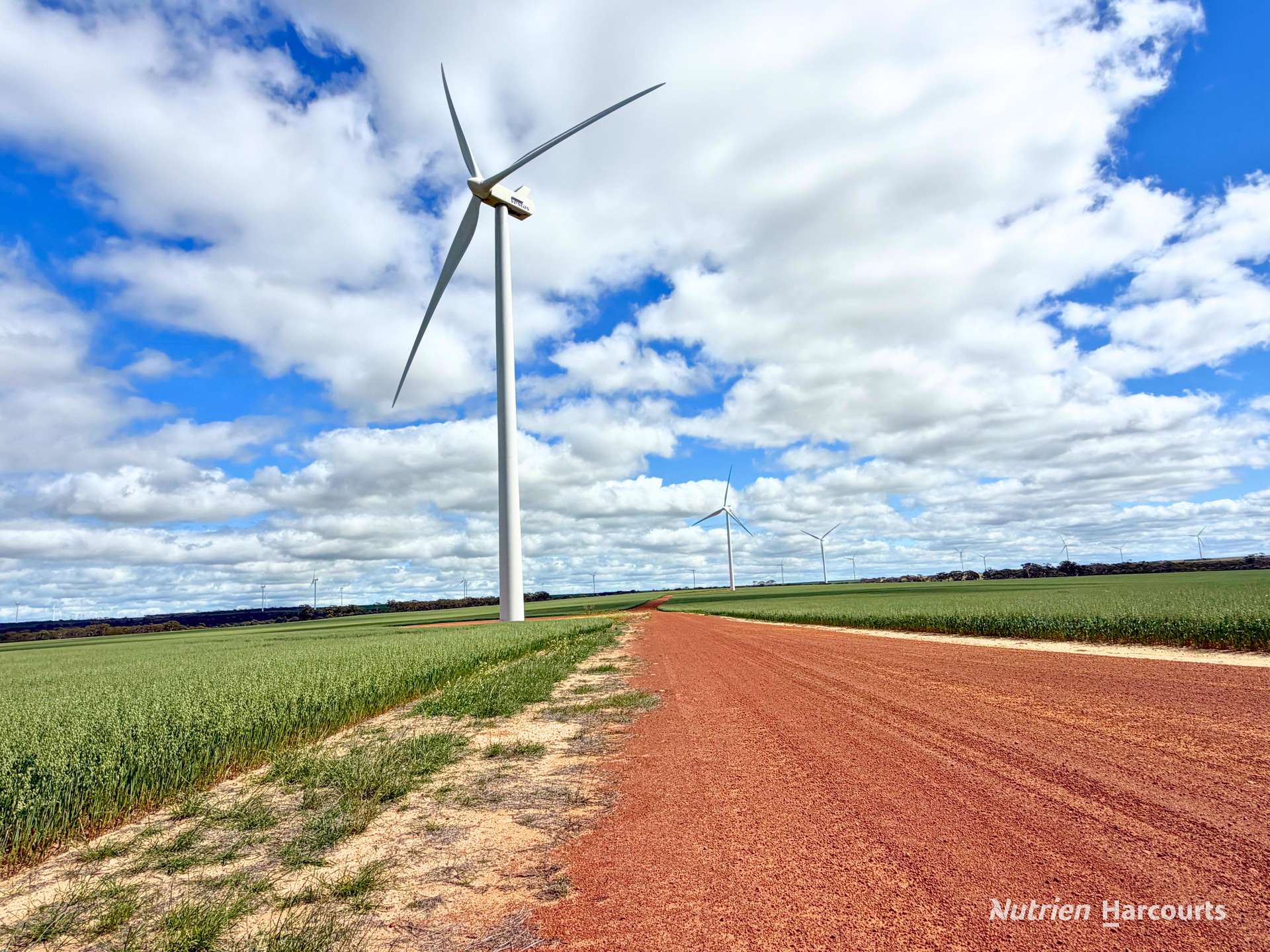 "Windfarm" Lot 20762 Springwell Valley Road, South Burracoppin Auction by Farmbuy.com - image 13