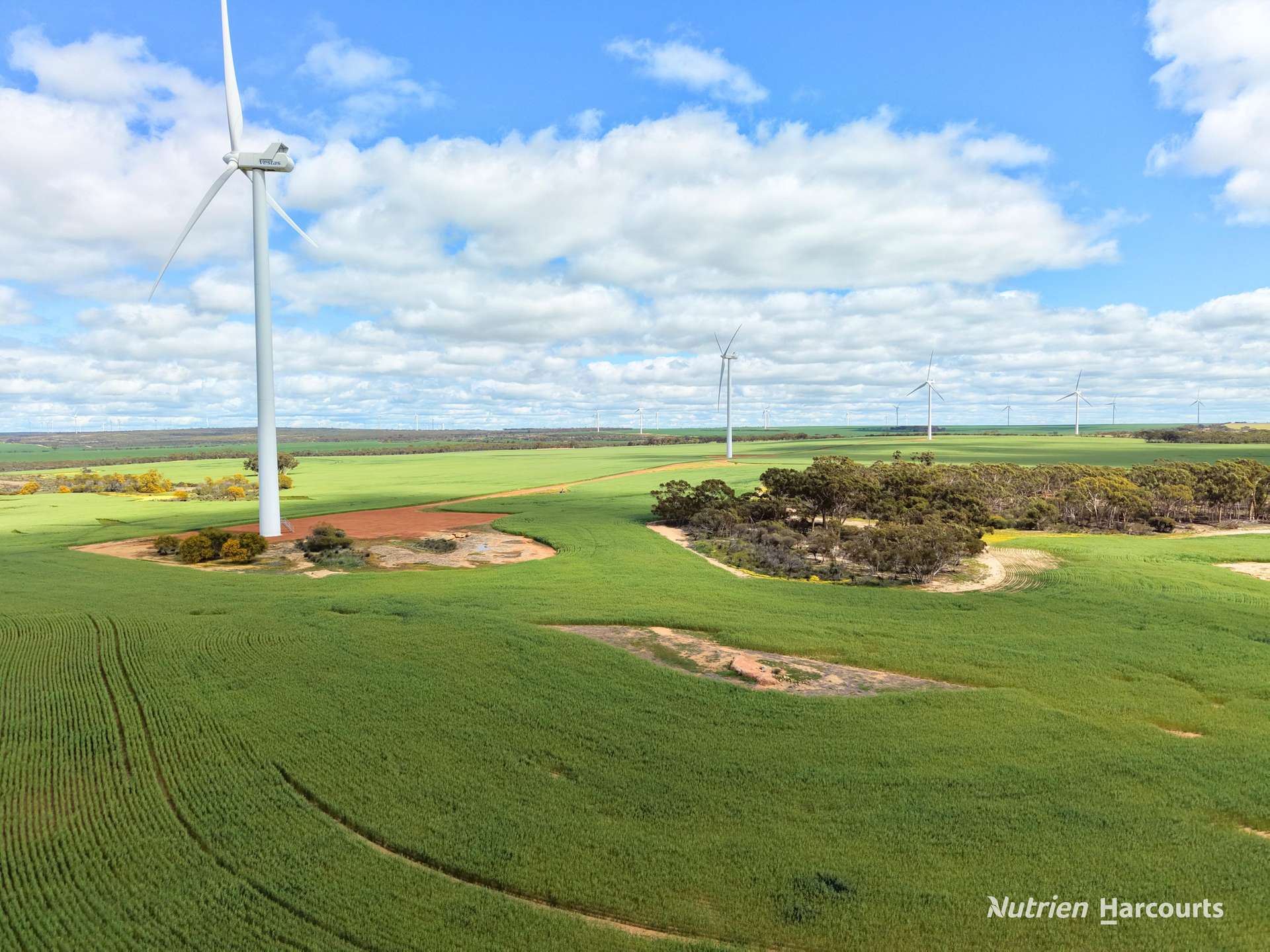 "Windfarm" Lot 20762 Springwell Valley Road, South Burracoppin Auction by Farmbuy.com - image 6