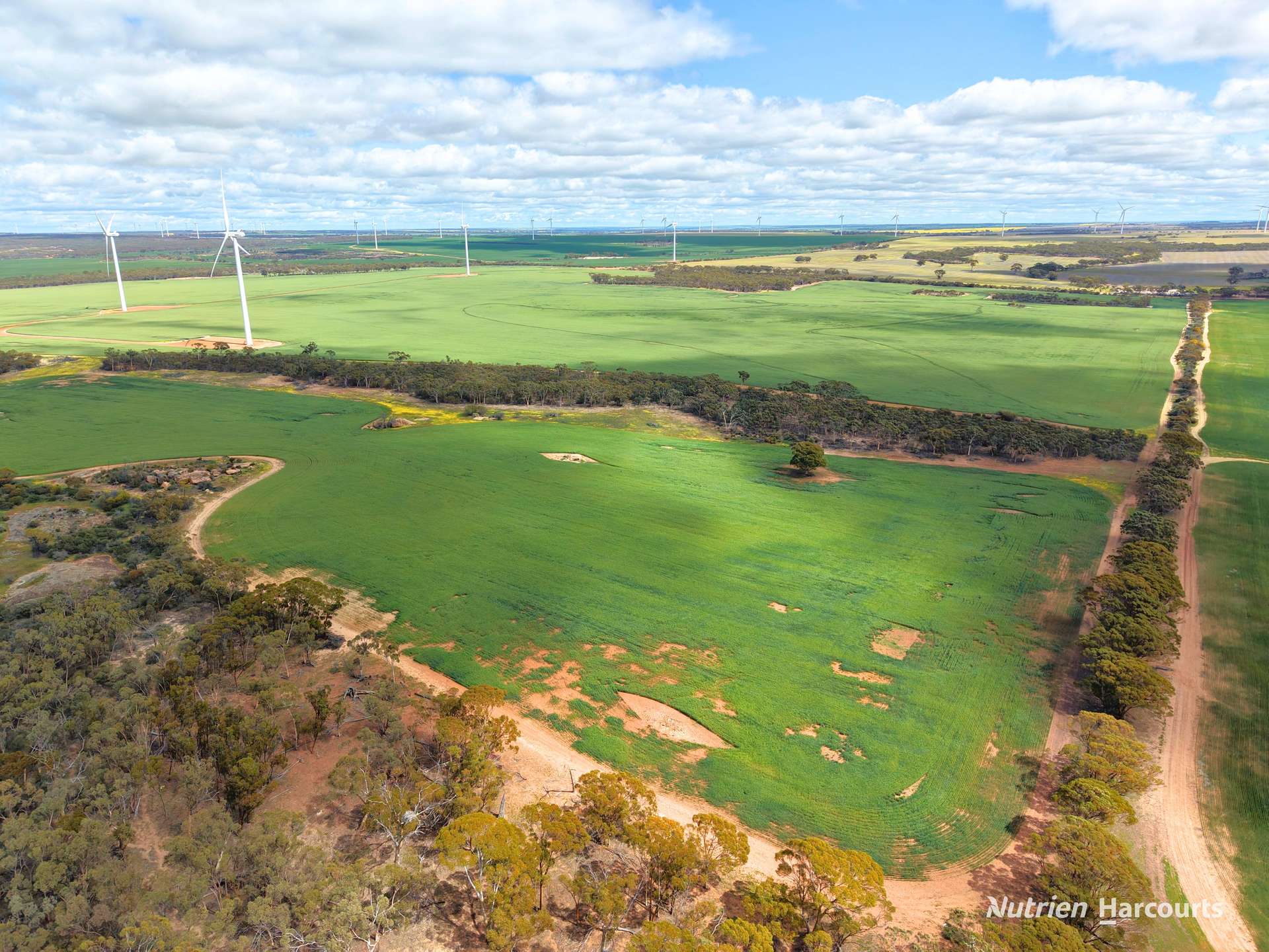 "Windfarm" Lot 20762 Springwell Valley Road, South Burracoppin Auction by Farmbuy.com - image 4