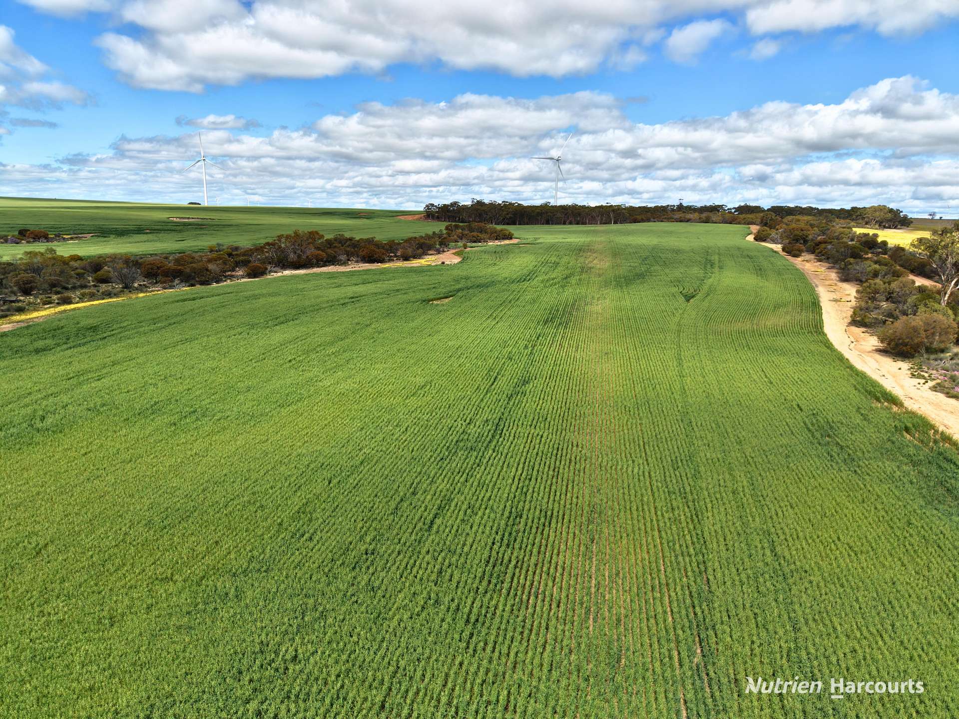 "Windfarm" Lot 20762 Springwell Valley Road, South Burracoppin Auction by Farmbuy.com - image 21