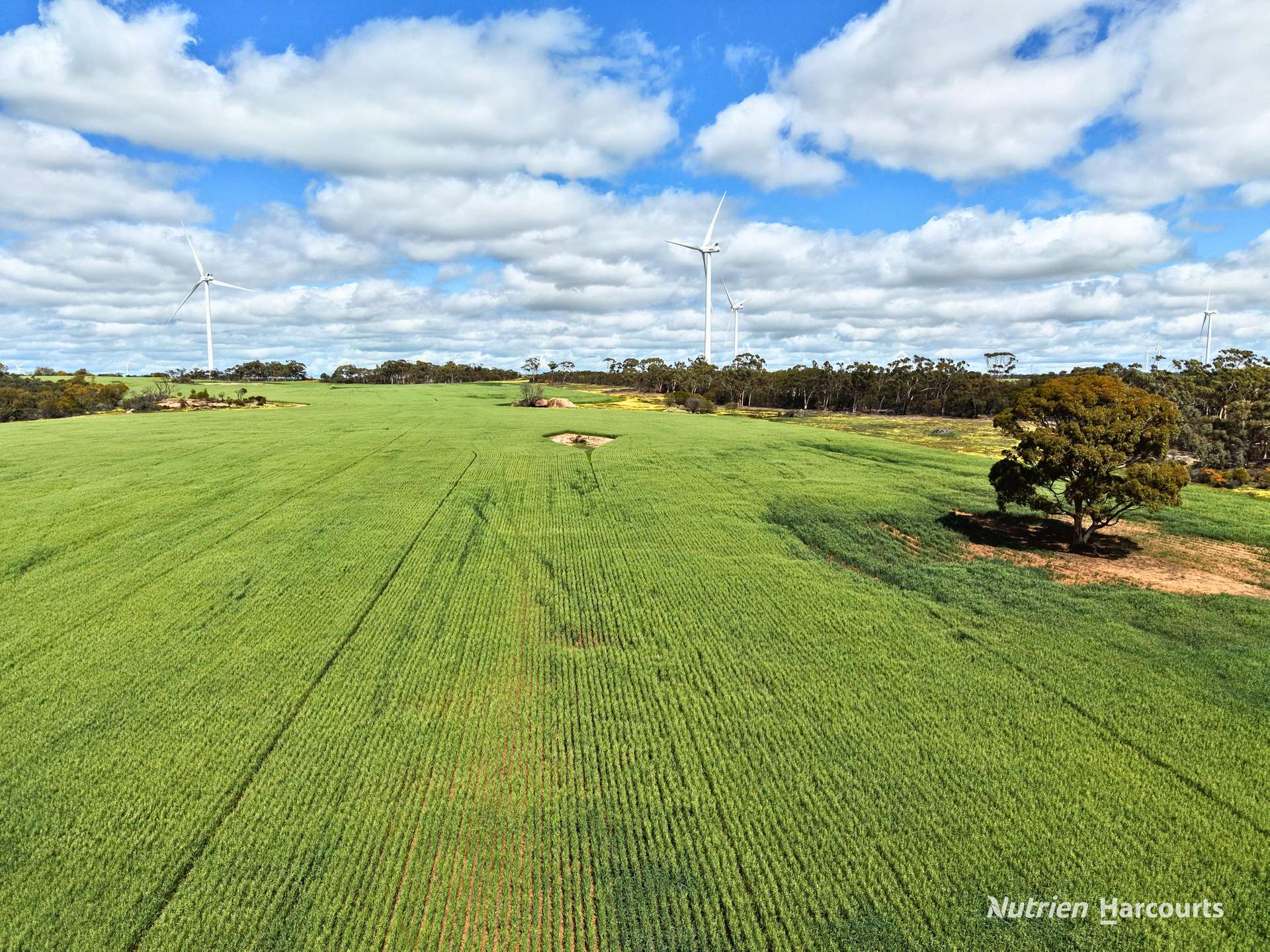 "Windfarm" Lot 20762 Springwell Valley Road, South Burracoppin Auction by Farmbuy.com - image 11