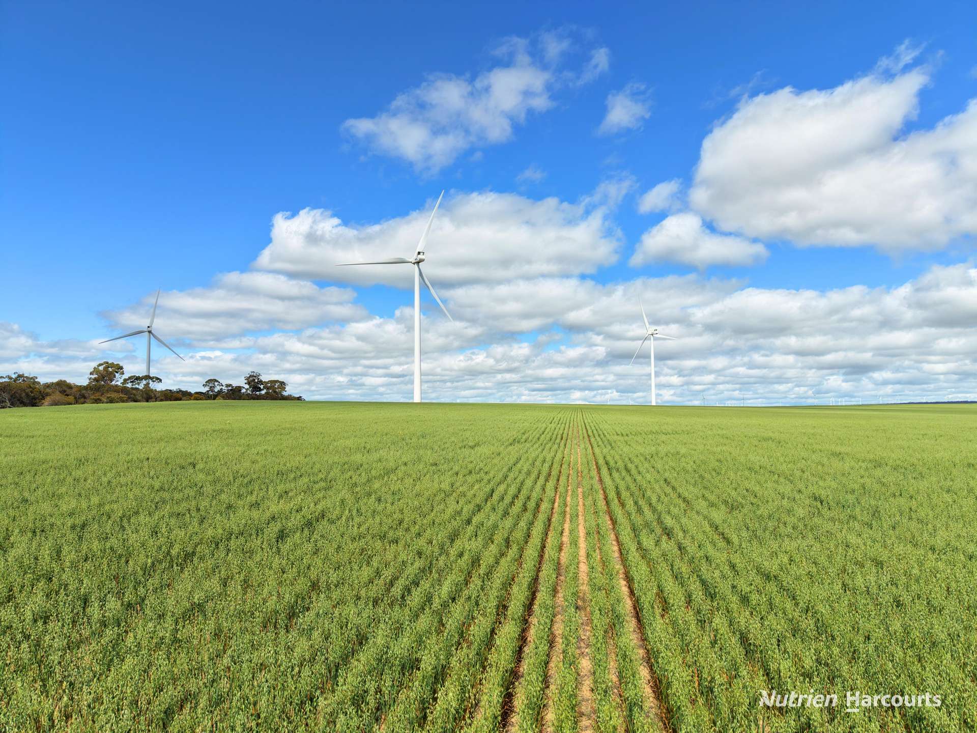 "Windfarm" Lot 20762 Springwell Valley Road, South Burracoppin Auction by Farmbuy.com - image 12